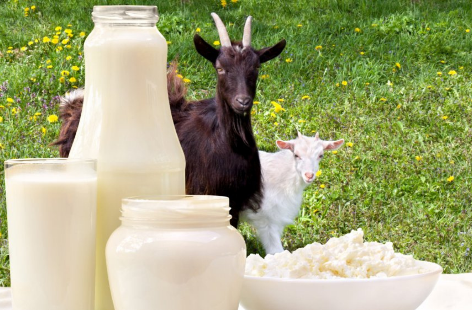 Benefits Of Goats Milk For Skin