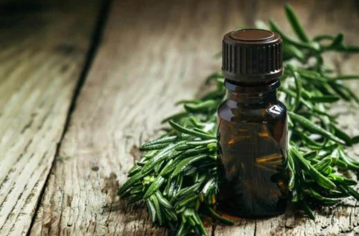 Is Tea Tree Oil Good For Ingrown Hairs